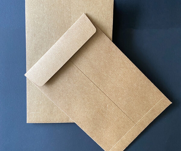 Kraft-Envelope-9x6-1